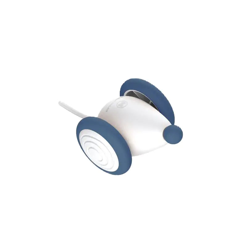 "RolCat" - POPULAARSEIM KASSIDE MÄNGUASI 2024 🌟🌟