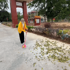 SeesePro™ Kerge, äärmiselt võimas akutoitega puhur