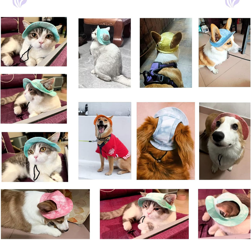 Koertele mõeldud päikesekapuuts õues