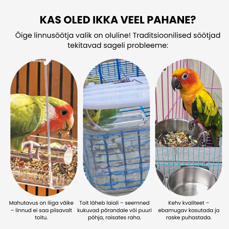 🐦 Automaatne läbipaistev linnutoidulaud