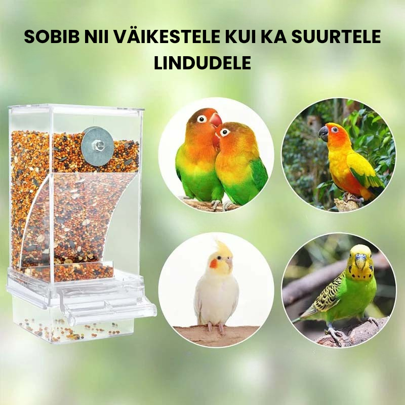 🐦 Automaatne läbipaistev linnutoidulaud