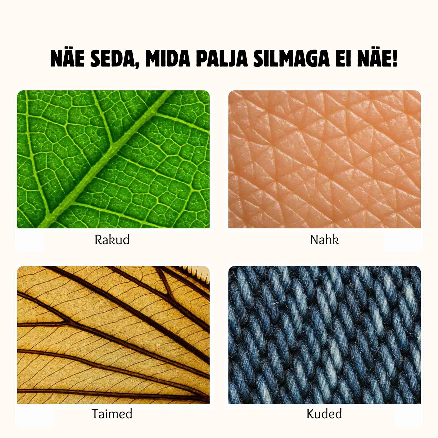 Tark seiklusmikroskoop ekraaniga lastele