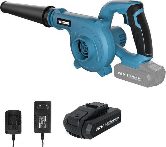 Akutoitega lehe- ja tolmupuhur