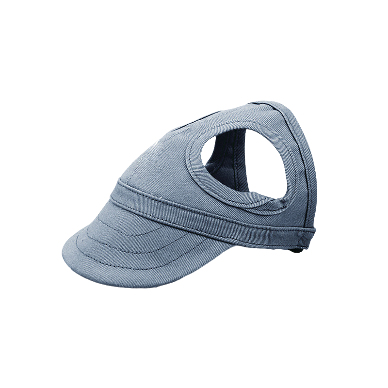 Koertele mõeldud päikesekapuuts õues