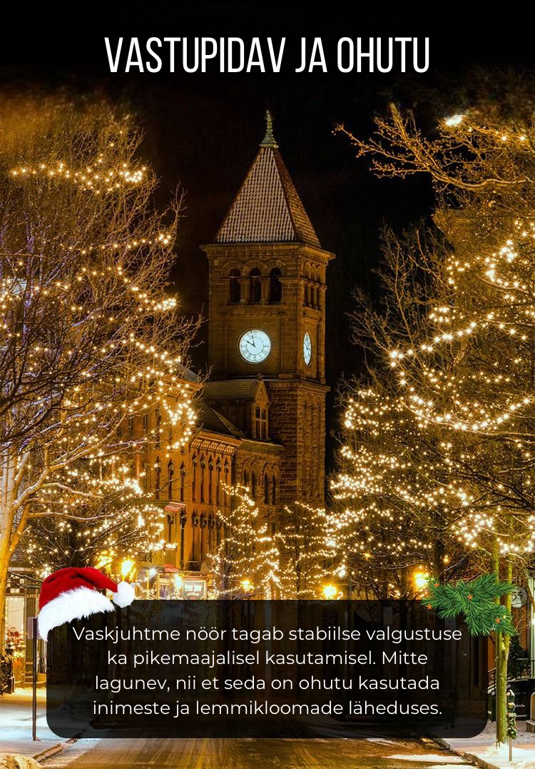 🎄🎁 Jõulude kaunistused pidulikuks hooajaks