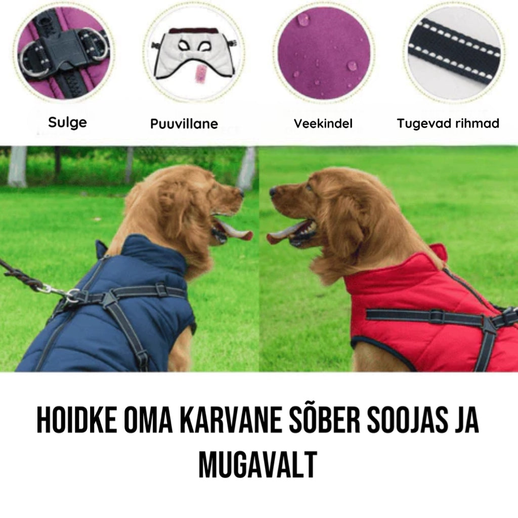 DogFashion™ - veekindel talvejope koos integreeritud traksidega koertele