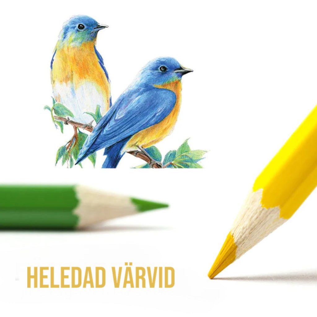 Kaasaskantav värviliste pliiatsite komplekt