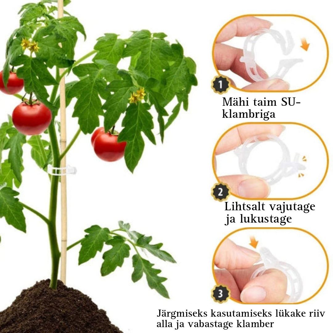 Taimede kinnitusklambrid