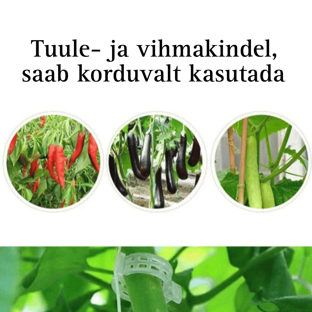 Taimede kinnitusklambrid