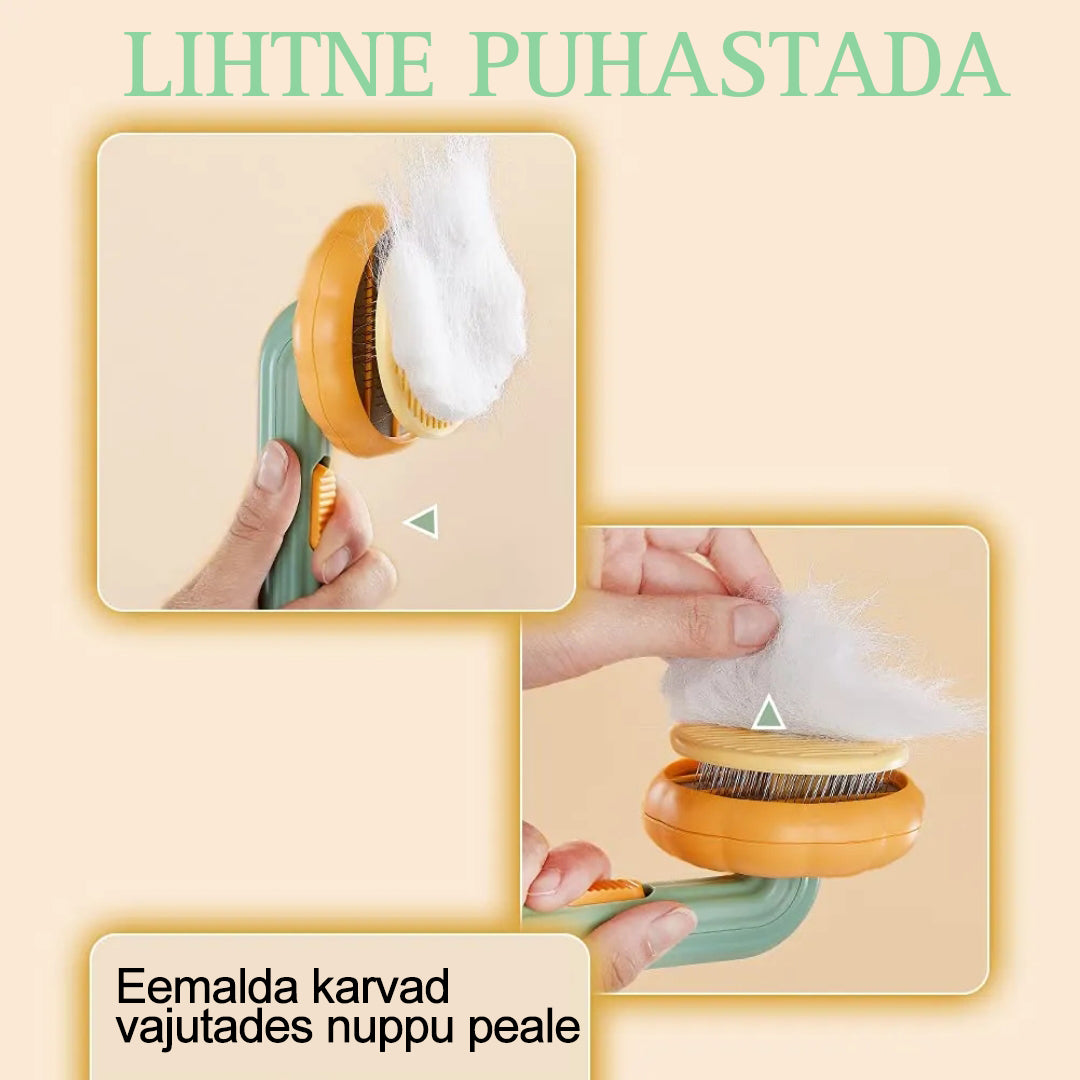 Isepuhastuv lemmiklooma massaažihari