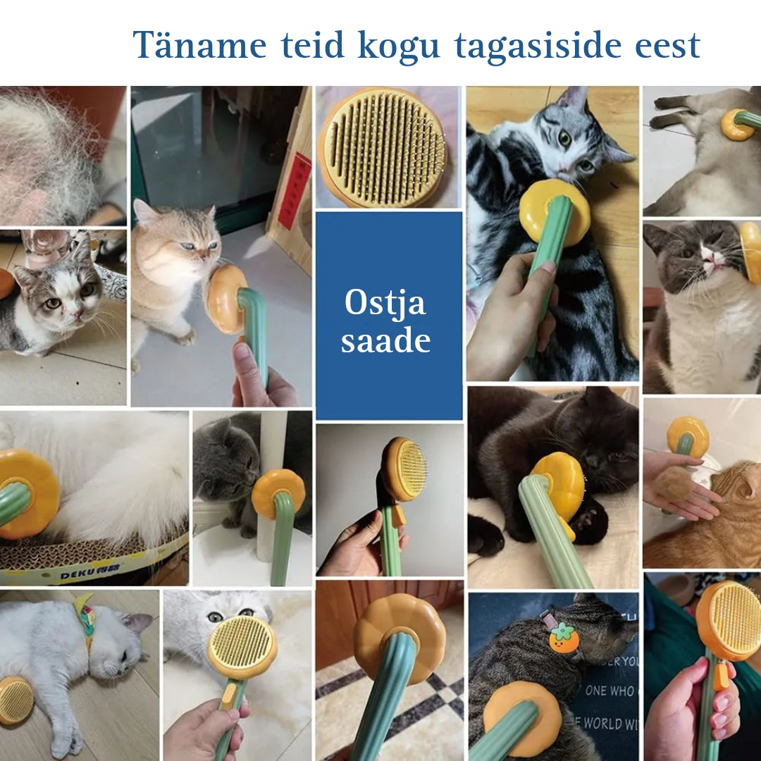 Isepuhastuv lemmiklooma massaažihari