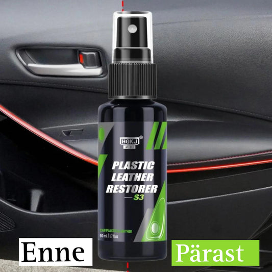 Naha ja plastiku restaureerija