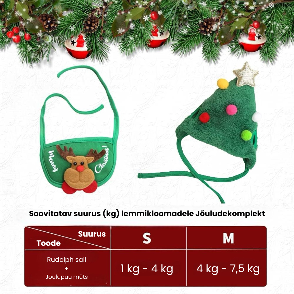 Armas jõulukuuse müts tutiga