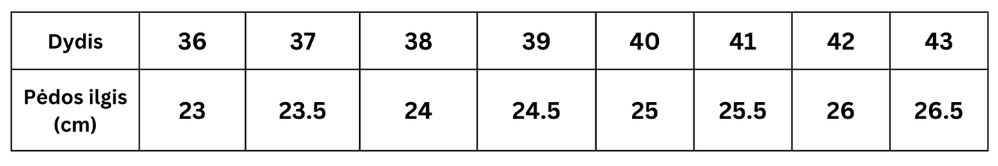 Pehme karusnahaga naiste kingad
