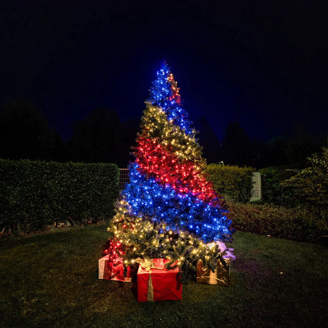 "Smart LED" telefoniga juhitavad jõulutuled