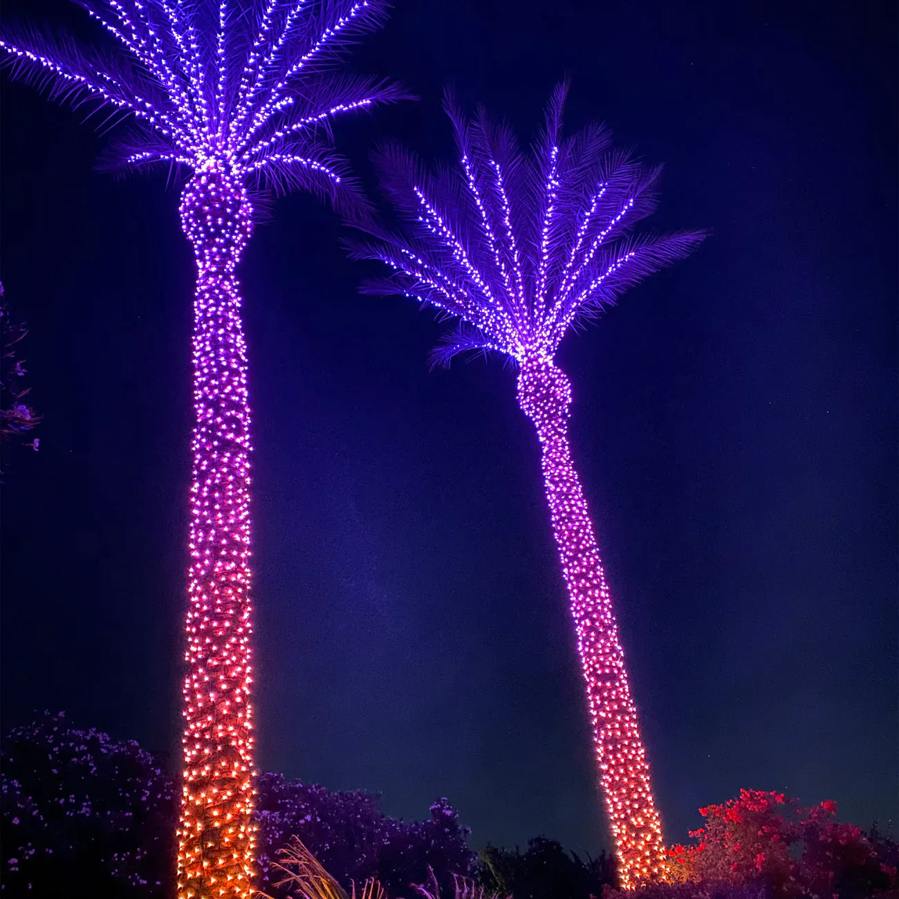 "Smart LED" telefoniga juhitavad jõulutuled