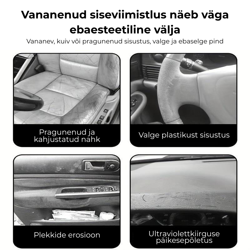 Nahast autosisemuse hooldusõli