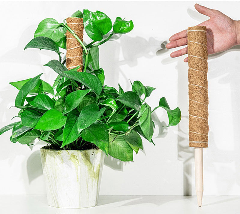 "FlexiClimb" - paindlik taimetugi