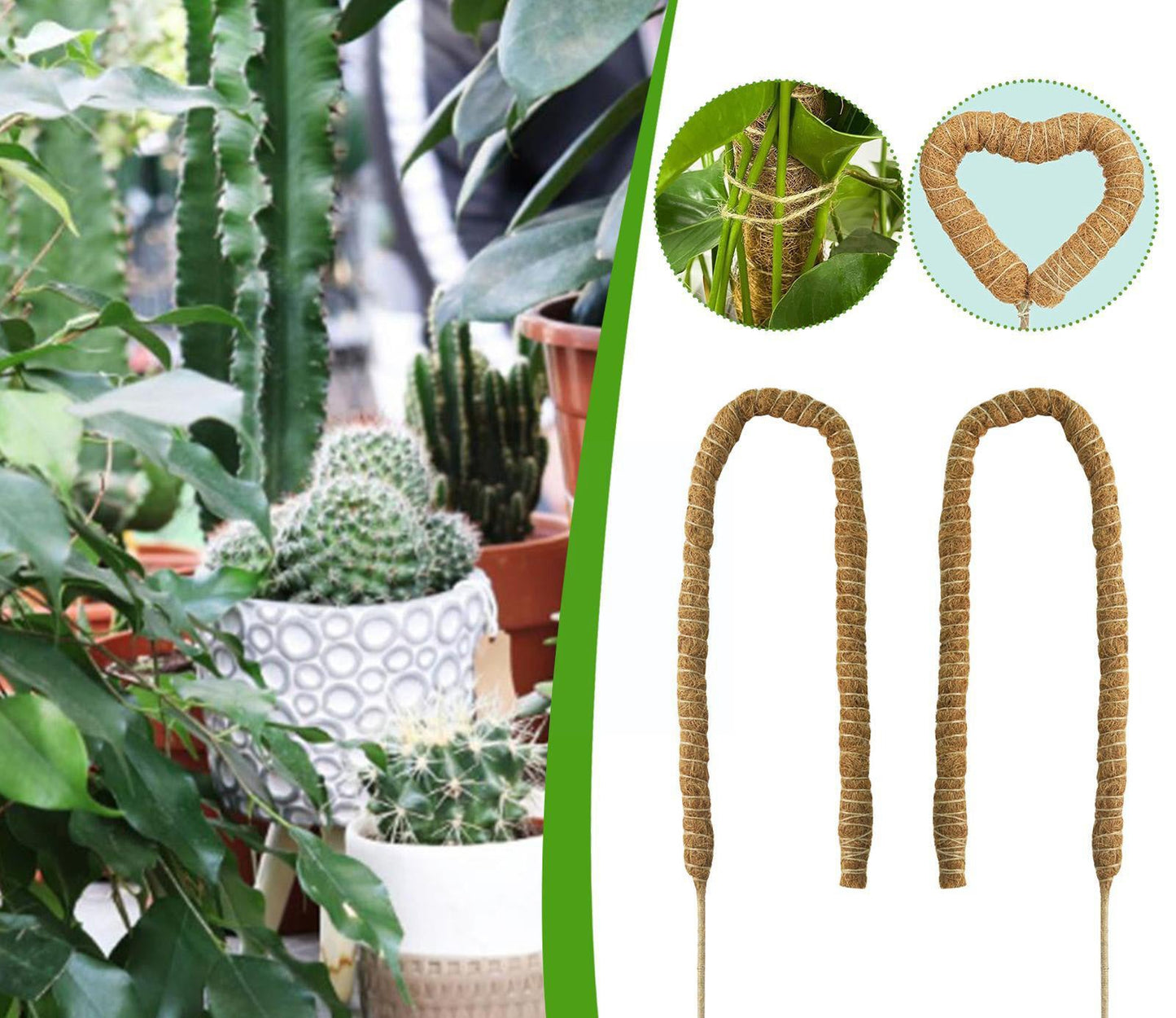 "FlexiClimb" - paindlik taimetugi