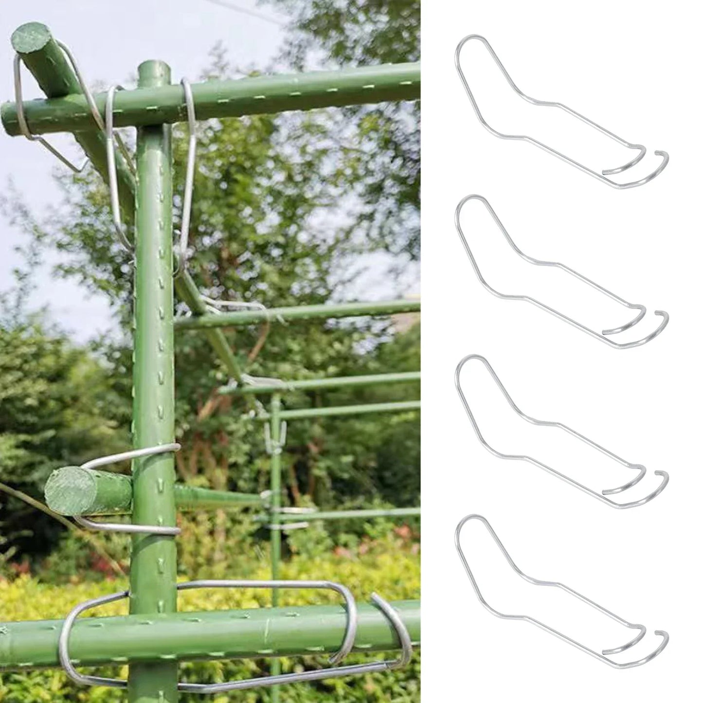 Taimeliigese silmused