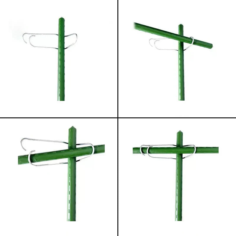 Taimeliigese silmused