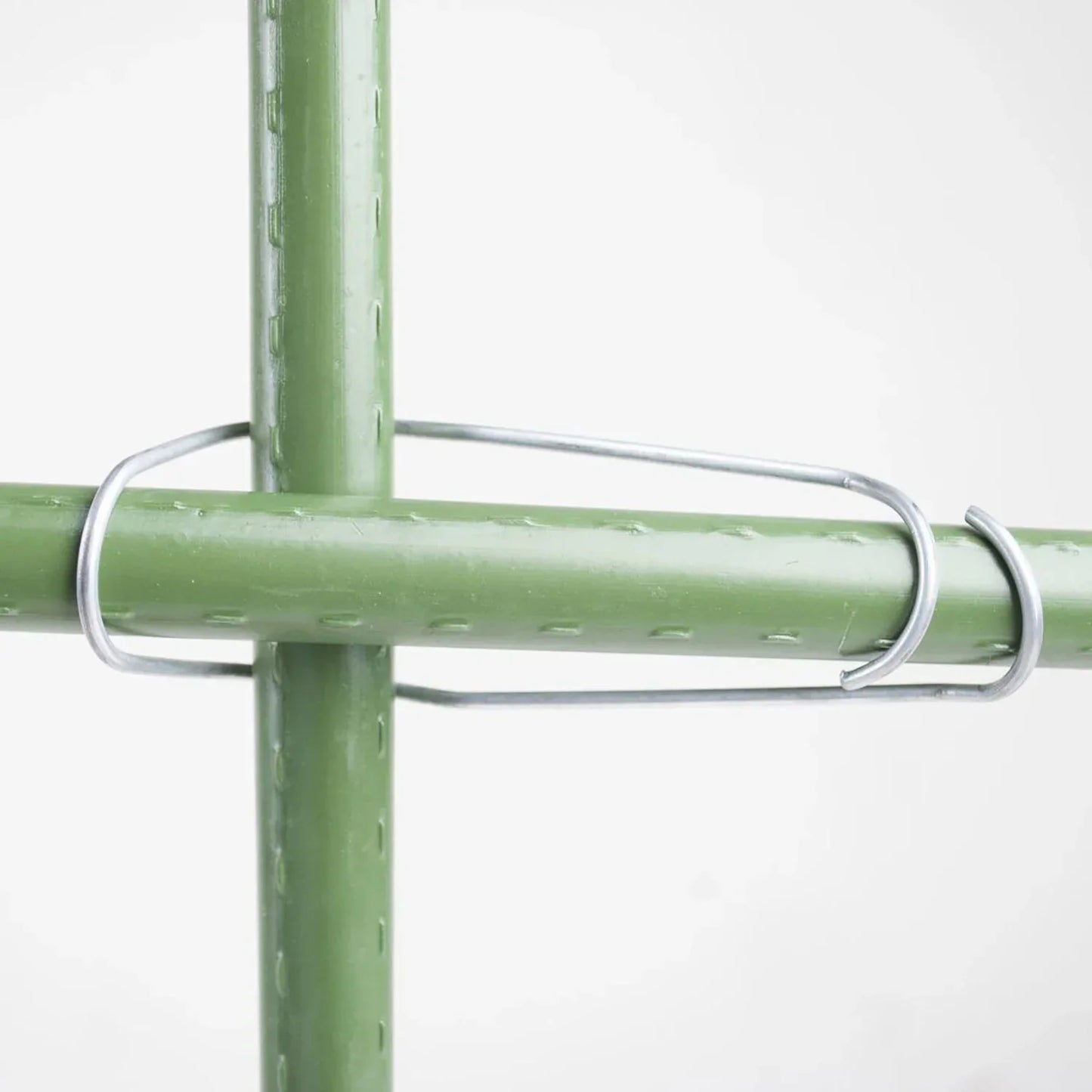 Taimeliigese silmused