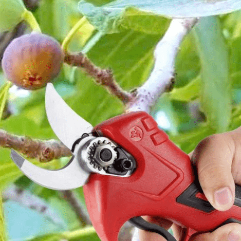 Vastupidavad juhtmeta elektrilised oksakäärid