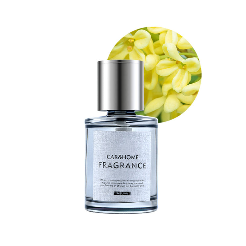 Smart Ultrasonic Spray autoõhuvärskendaja - 5-käiguline juhtimine ja automaatne sisse/välja lülitamine