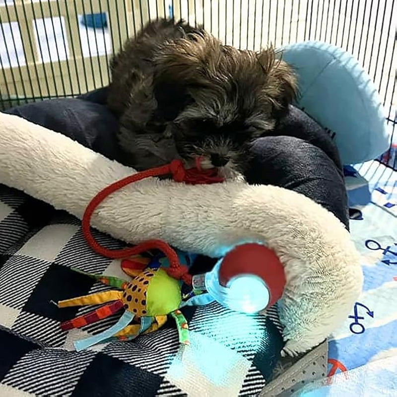 Tark automaatselt veerev lemmikloomade pall