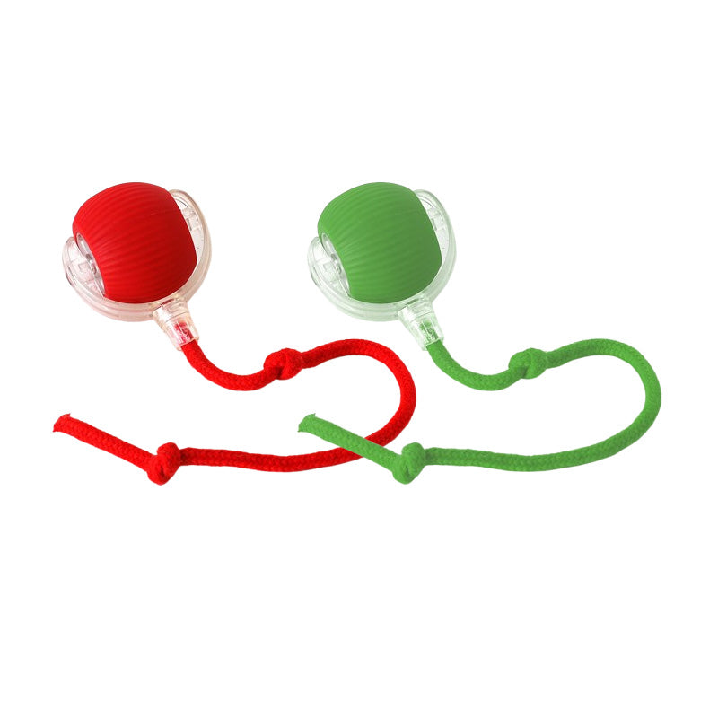 Tark automaatselt veerev lemmikloomade pall