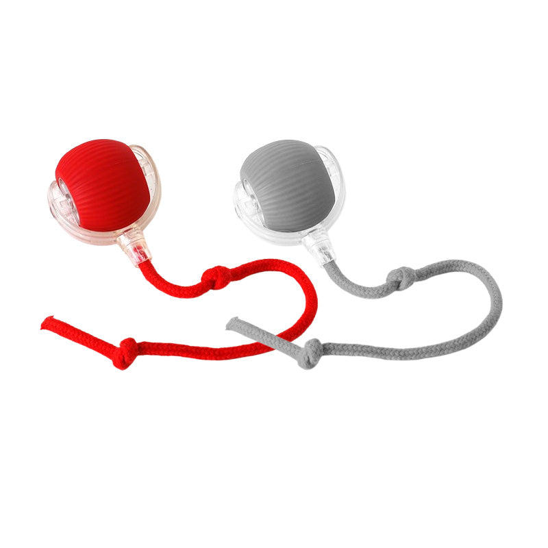 Tark automaatselt veerev lemmikloomade pall