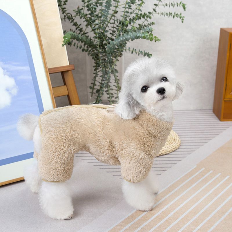 🐶 Talvekombinesoon kutsikale – soojust ja stiili ühes!