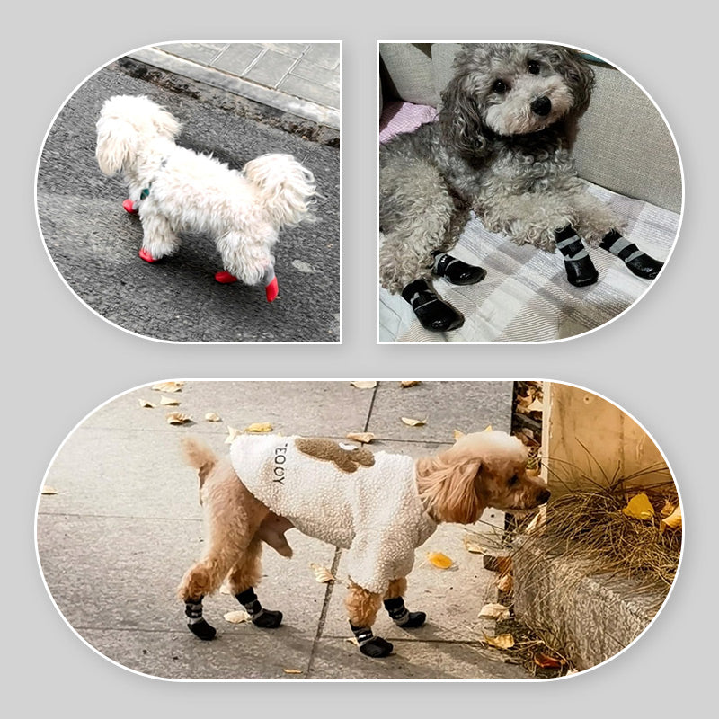 Libisemisvastased ja veekindlad koera kingad (4 tk)